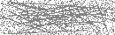 Spam Verification Code